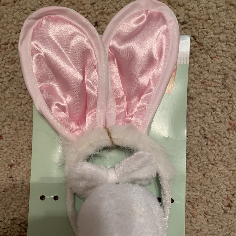 Happy Easter Bunny accessories costume set